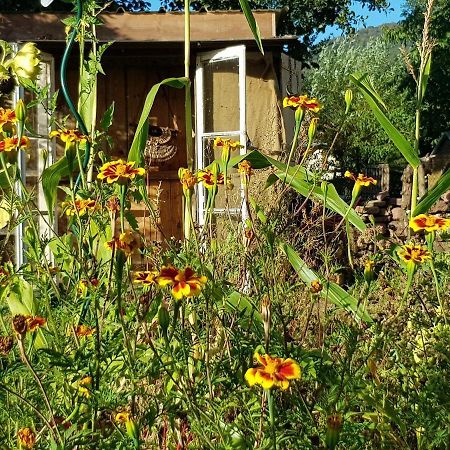 Le Jardin Des Gouttes Bed & Breakfast Rougegoutte Luaran gambar