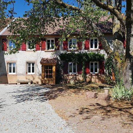 Le Jardin Des Gouttes Bed & Breakfast Rougegoutte Luaran gambar
