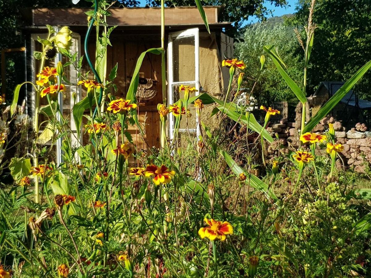 Le Jardin Des Gouttes Bed & Breakfast Rougegoutte Luaran gambar