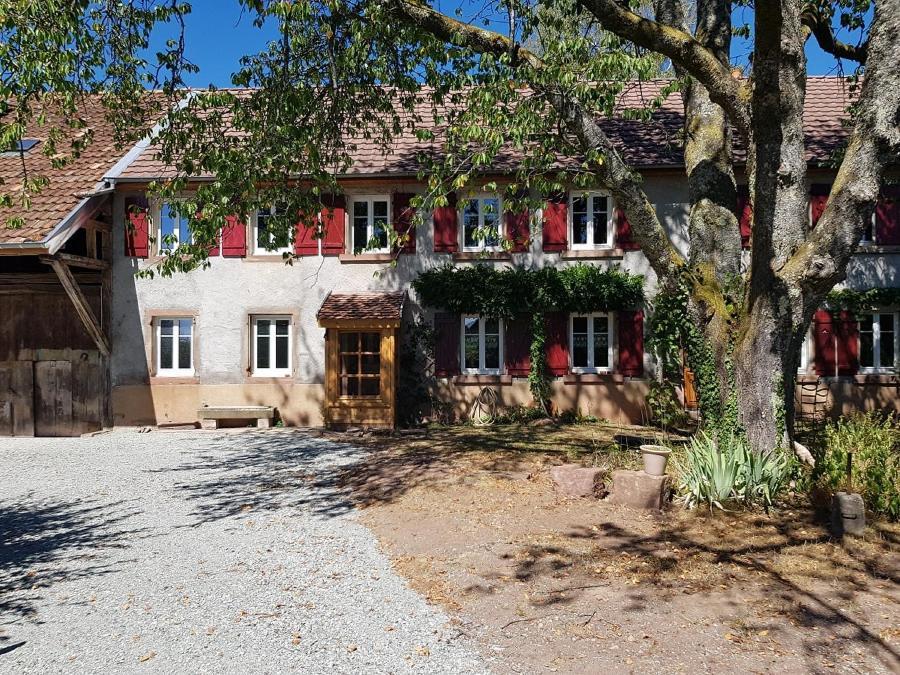 Le Jardin Des Gouttes Bed & Breakfast Rougegoutte Luaran gambar